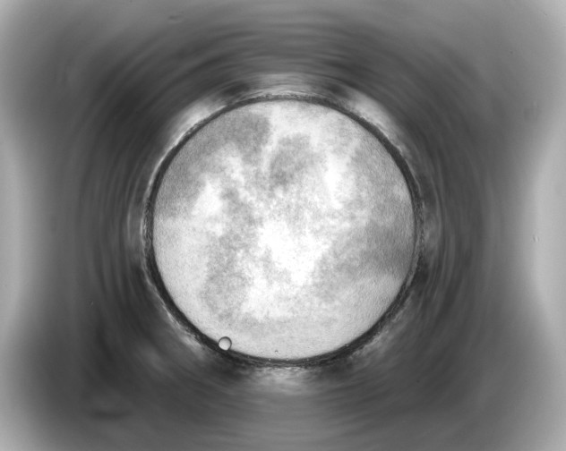 X0000086001282200704091031