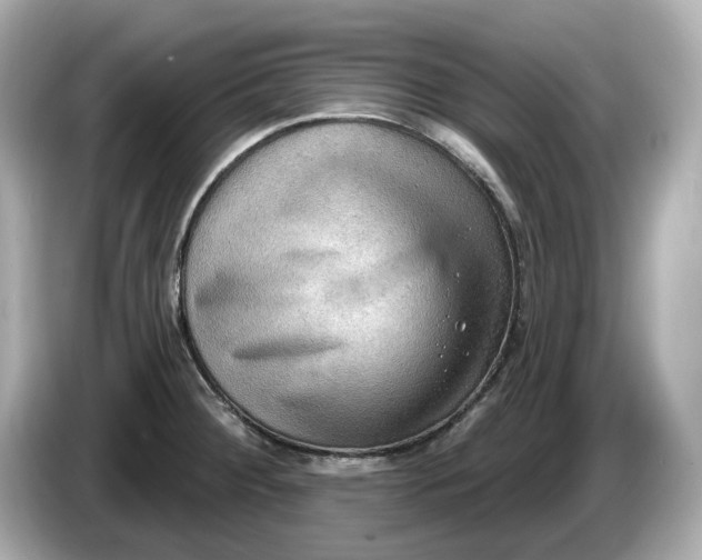 X0000086001284200704091031