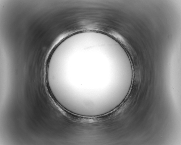 X0000086001286200704091031