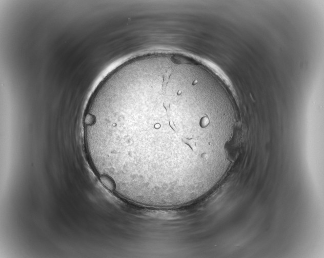 X0000086001287200704091031