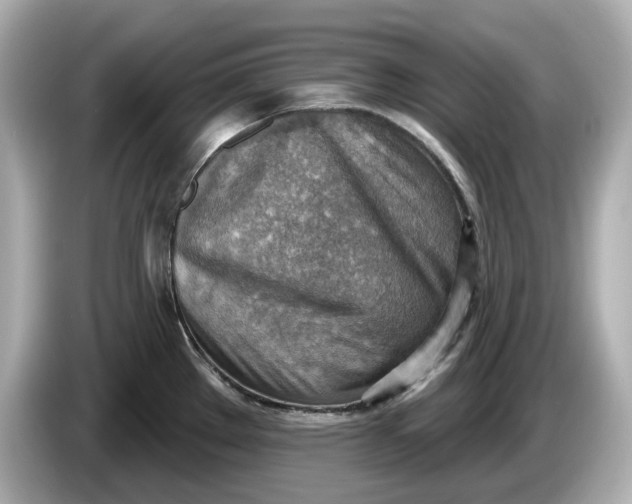 X0000086001289200704091031