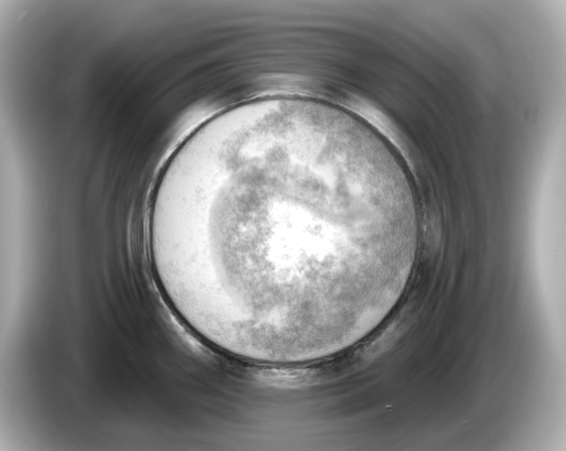 X0000086001290200704091031