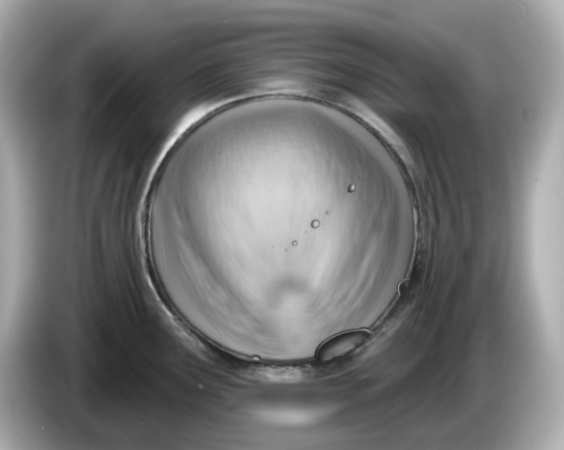 X0000086001291200704091031