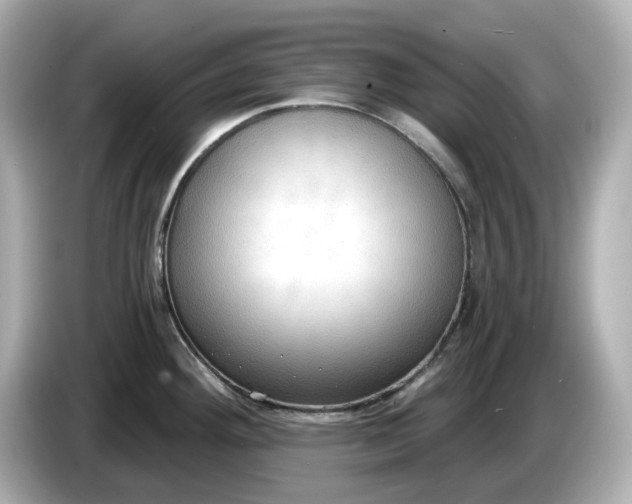 X0000086001292200704091031