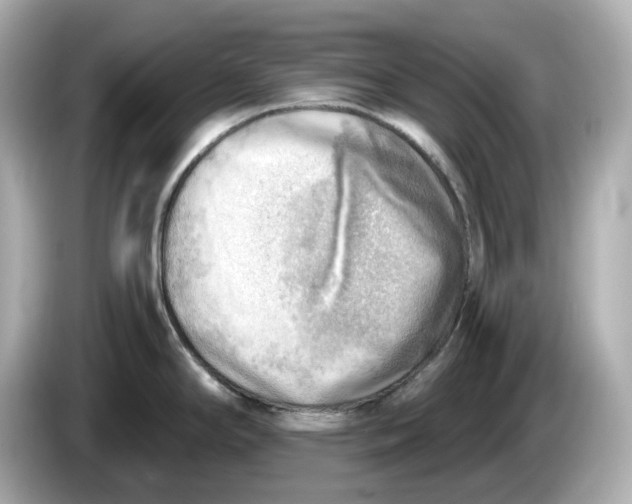 X0000086001294200704091030