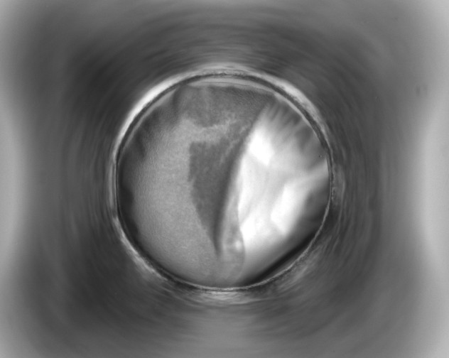 X0000086001295200704091030