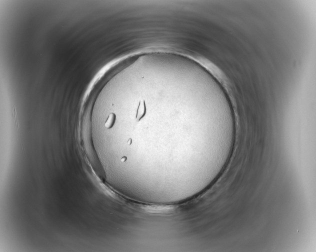 X0000086001296200704091030