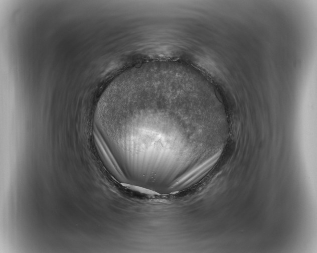 X0000086001297200704091030