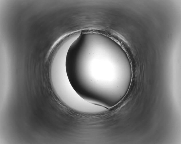 X0000086001310200704091030