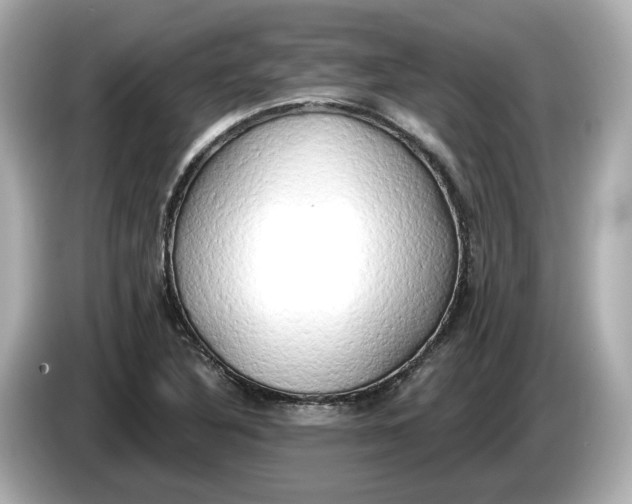 X0000086001316200704091030