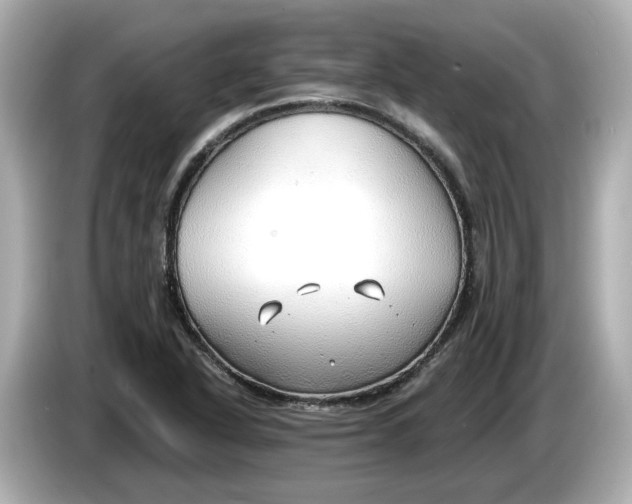 X0000086001318200704091030