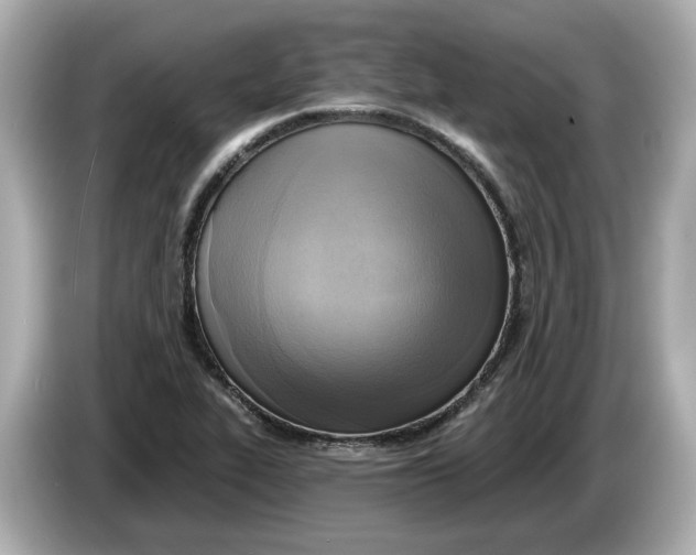 X0000086001319200704091030