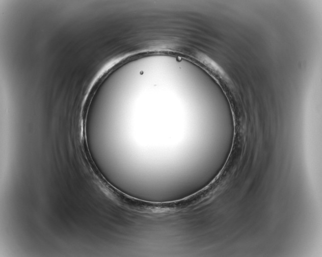 X0000086001324200704091030