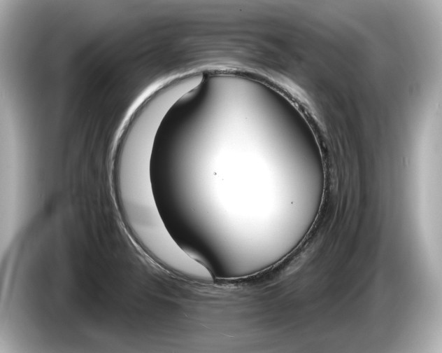 X0000086001326200704091030