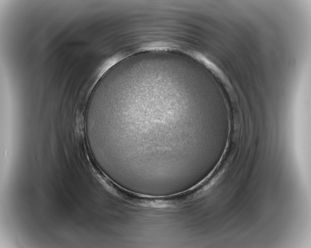 X0000086001329200704091030