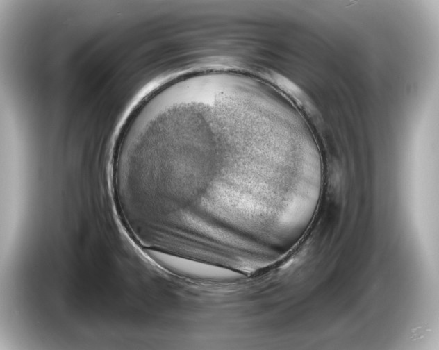 X0000086001334200704091030