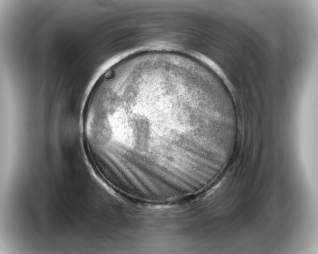 X0000086001335200704091030