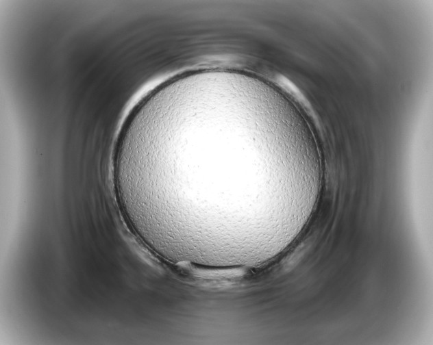 X0000086001336200704091030