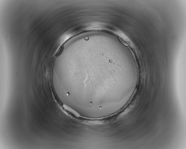 X0000086001337200704091030