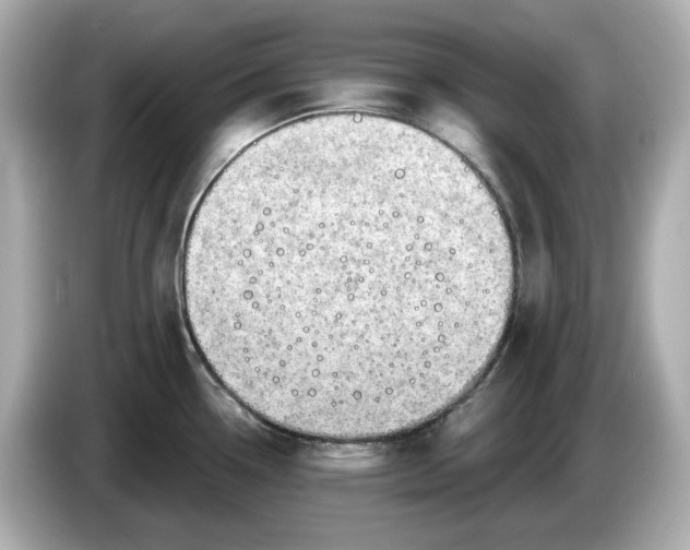 X0000086001338200704091030