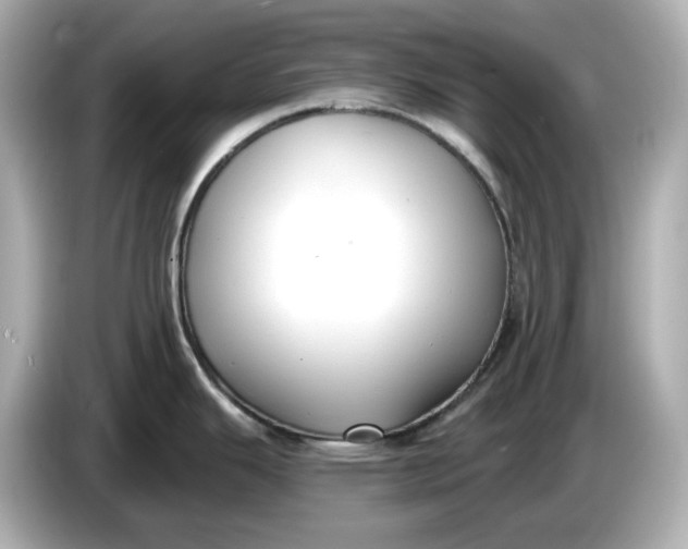 X0000086001343200704091030