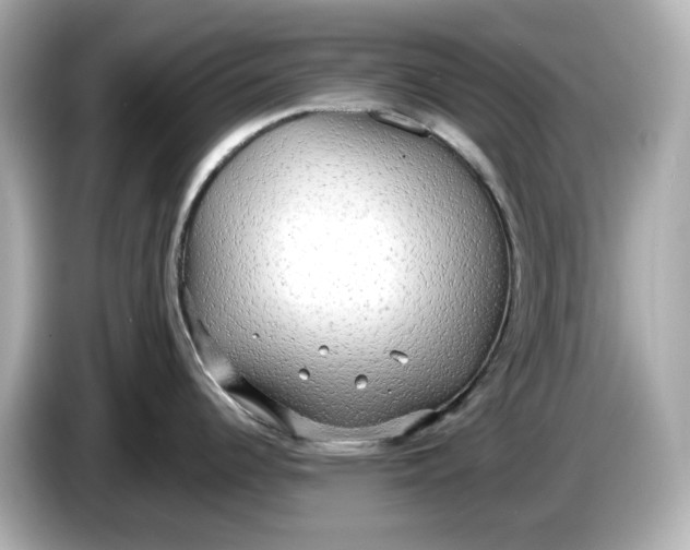 X0000086001344200704091030