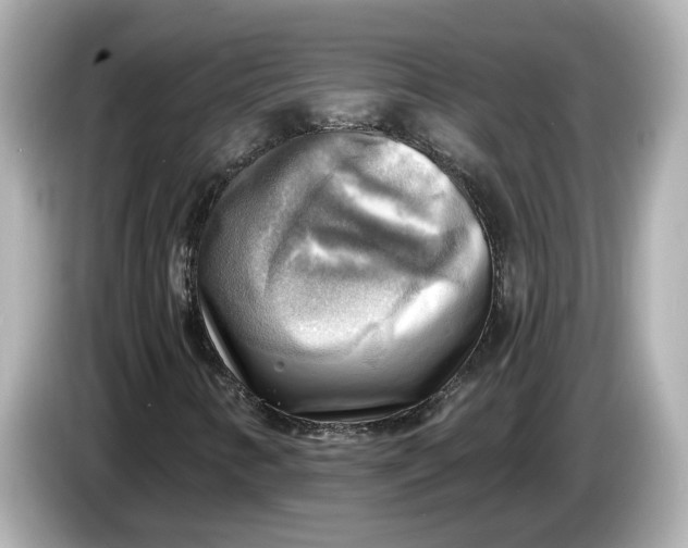 X0000086001346200704091030