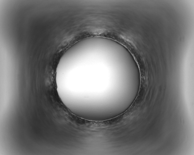 X0000086001349200704091030