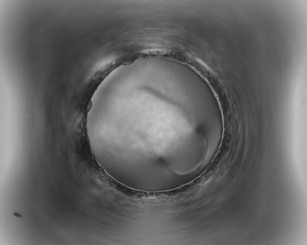 X0000086001351200704091030