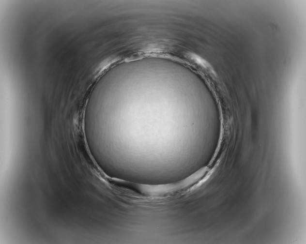 X0000086001353200704091030