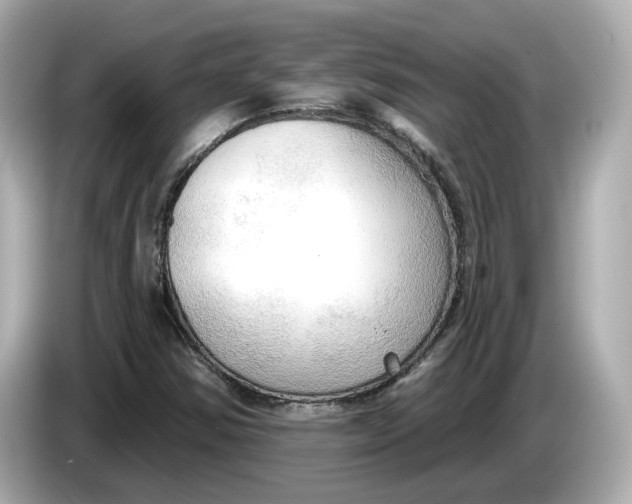 X0000086001354200704091030