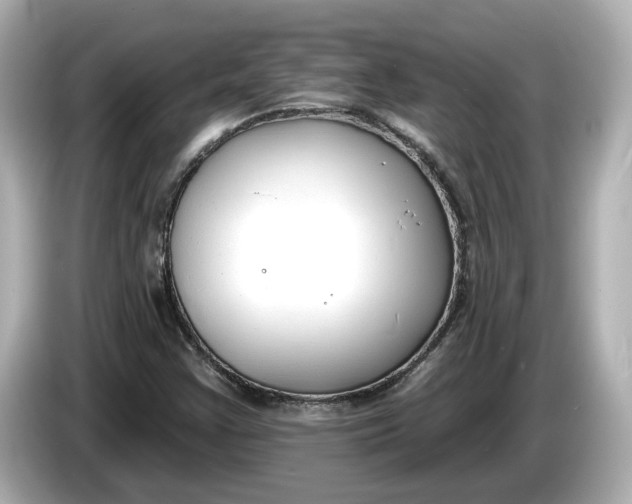 X0000086001355200704091030