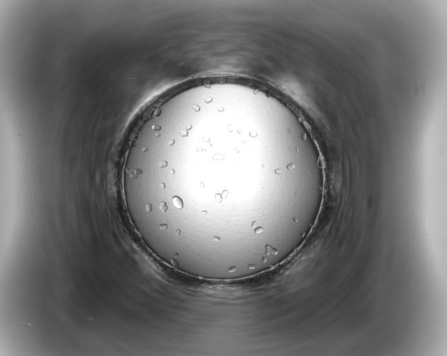 X0000086001356200704091030