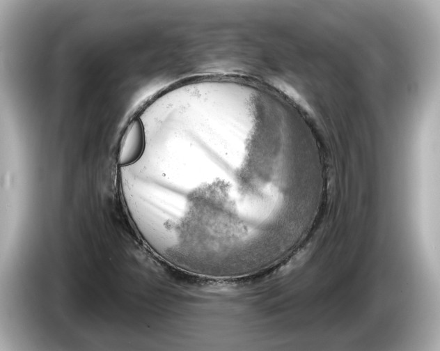 X0000086001358200704091030