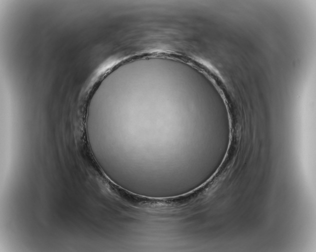 X0000086001359200704091030