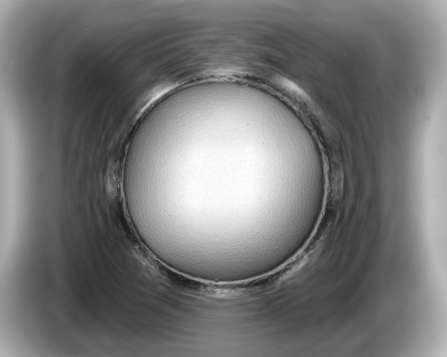 X0000086001361200704091030