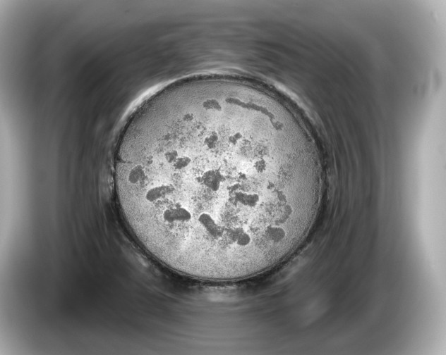 X0000086001363200704091030