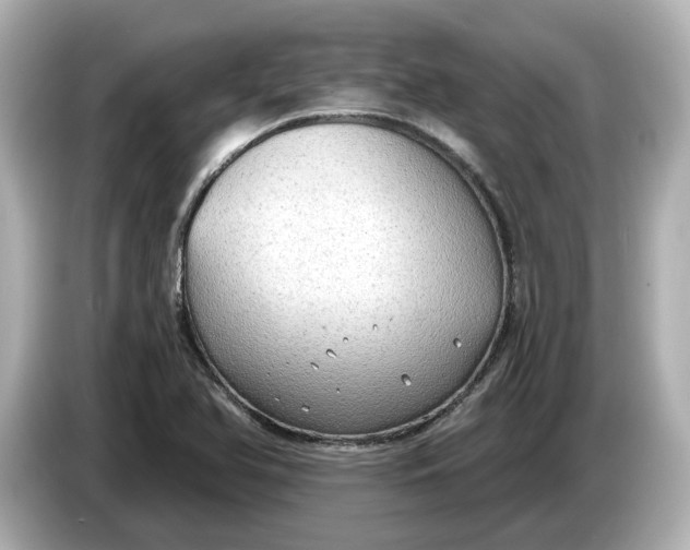 X0000086001366200704091030