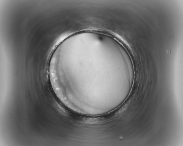 X0000086001367200704091030