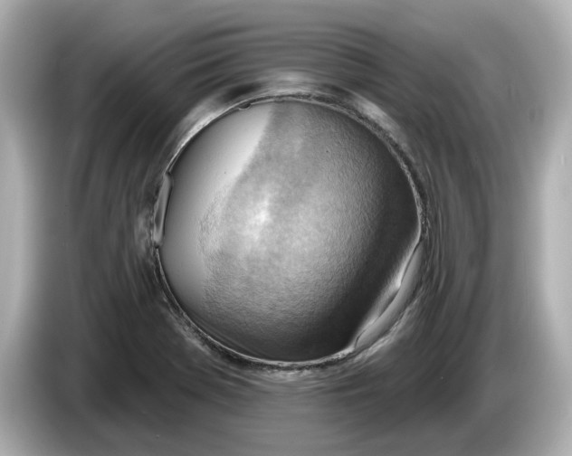 X0000086001369200704091030