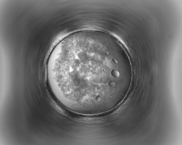 X0000086001371200704091030