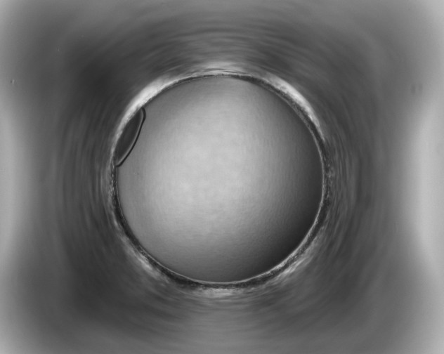 X0000086001373200704091030