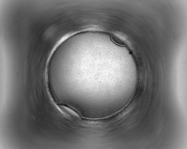 X0000086001375200704091030