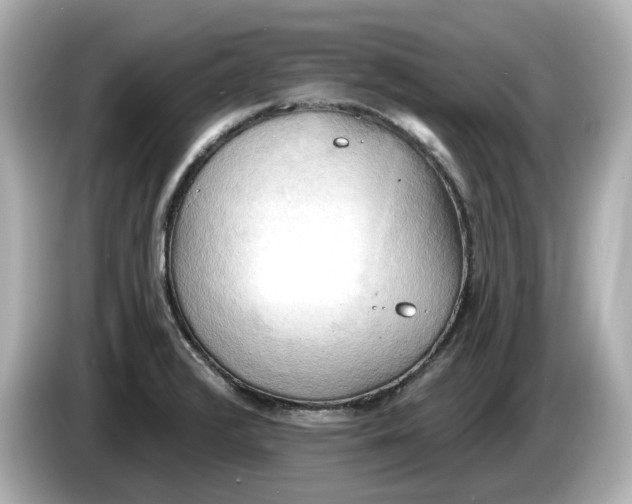 X0000086001376200704091030