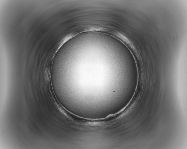 X0000086001377200704091030