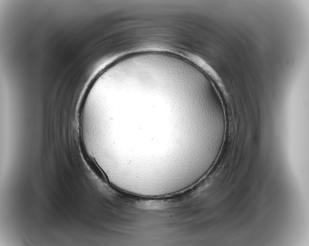 X0000086001380200704091029