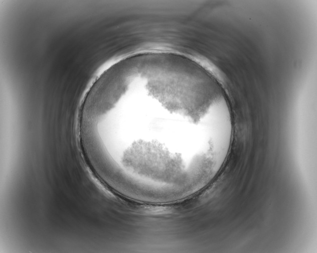 X0000086001382200704091029