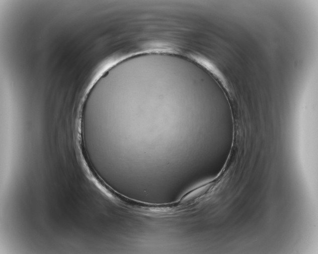 X0000086001383200704091029