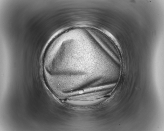 X0000086001384200704091029