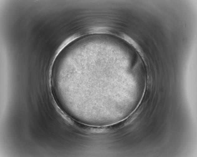 X0000086001386200704091029